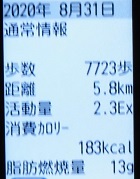 CIMG5434.JPG